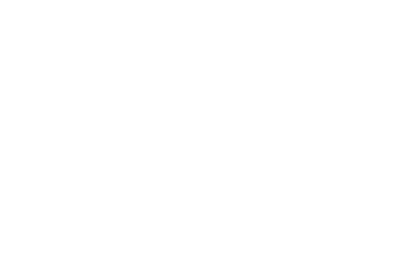 Cyberbadger